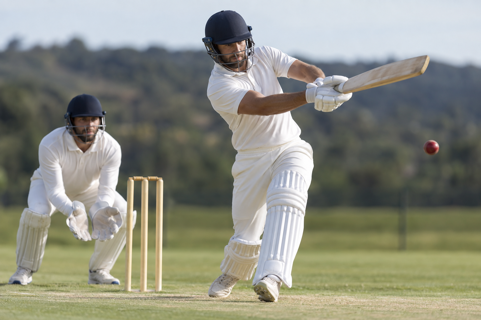 Cricket